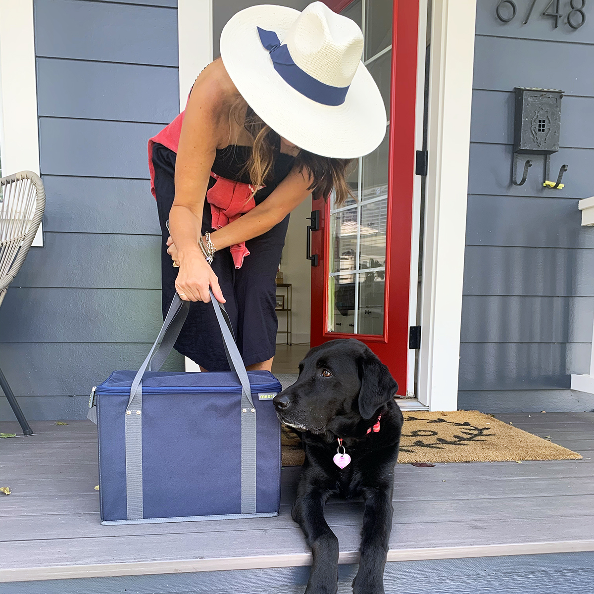 Marine Blue Insulated Grocery Bag With Zipper shown on front porch next to black dog