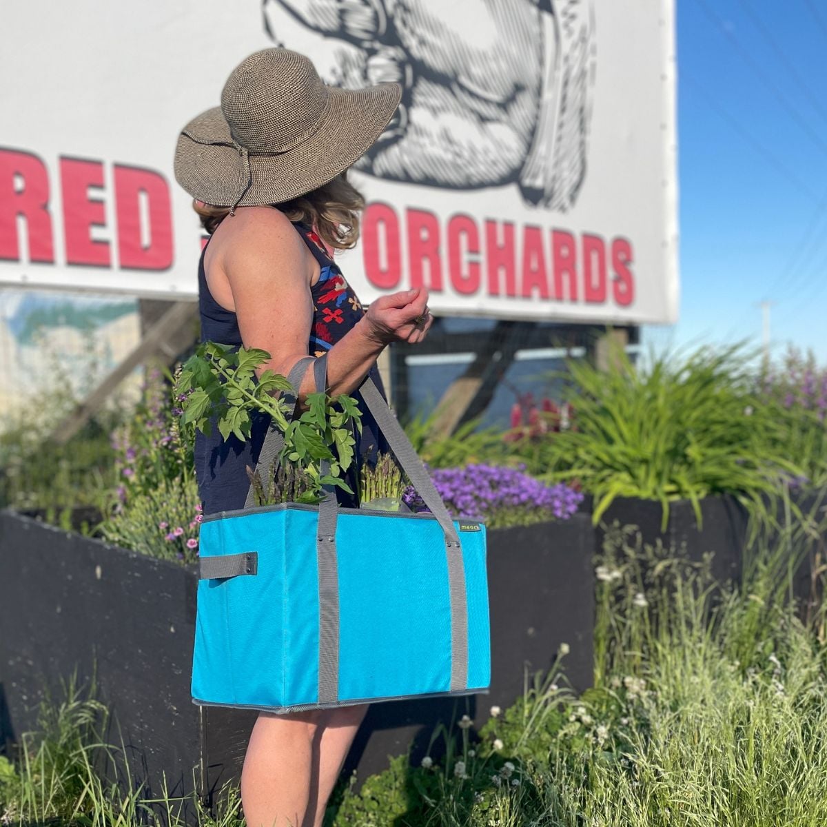 Woman holding Azure Blue Collapsible Shopping Basket in front of fruit stand